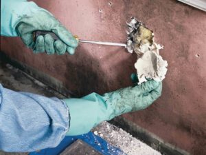 Mold Testing and Home Inspections